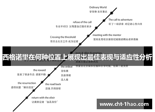 西格诺里在何种位置上展现出最佳表现与适应性分析